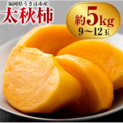 ふるさと納税 うきは市 【先行予約】西見柿農園 太秋柿 9〜12玉(約5kg)【2026年10月下旬〜11月下旬発送予定】