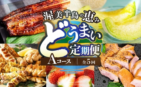 【定期便】どうまい定期便 全5回 Aコース