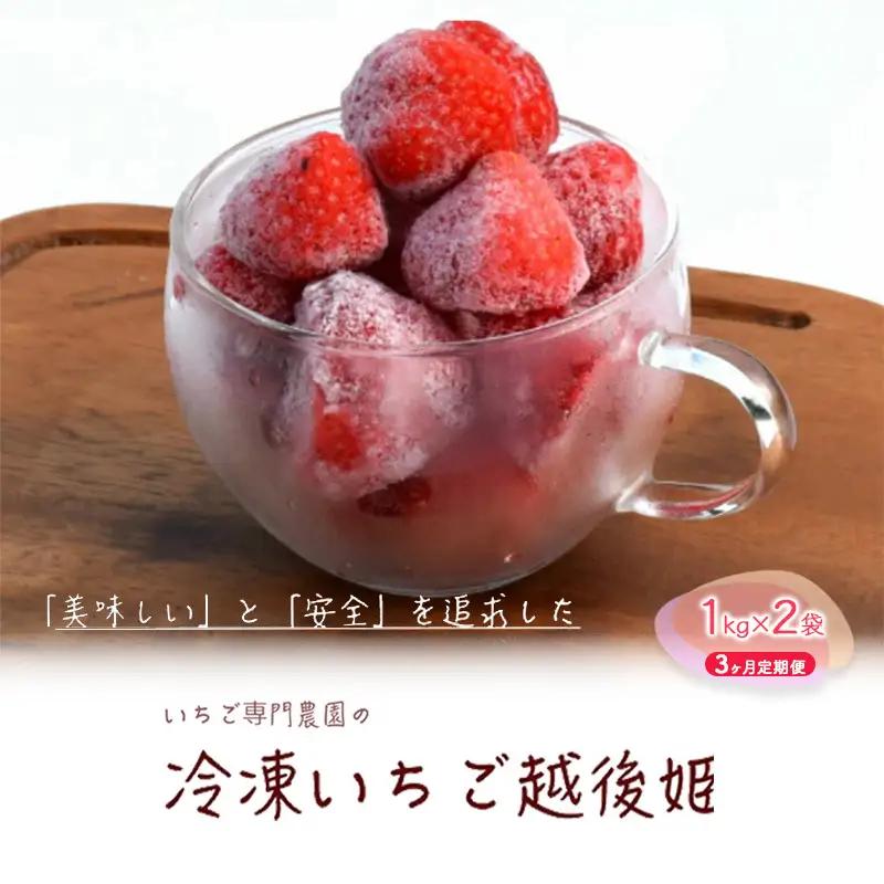 【3ヶ月定期便】越後姫 冷凍いちご 1kg×2袋 いちご フルーツ