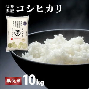 【定期便3回】福井県産 コシヒカリ 無洗米 10kg（10kg×1）＜令和7年産 新米 / 数量限定 ＞【米 コメ お米 精米 白米 無洗米 玄米 ご飯 飯 こしひかり ブランド米 国産】[095-t3-a015]