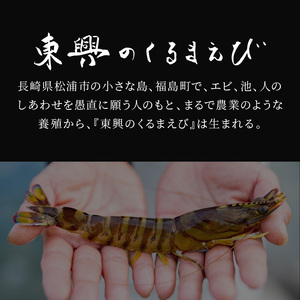 【先行予約】【宅配BOX不可】東興のくるまえび1kg入【11月下旬～12月発送】( くるまえび 東興のくるまえび 車海老 海老 エビ )【D5-004-12】