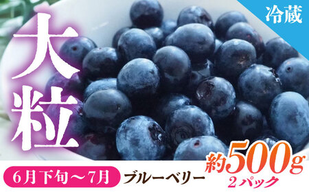 【先行予約】【6回定期便】 フルーツの名産地 山鹿から直送のあま～い幸せ 熟成芋と旬のフルーツ [ZZZ002]  さつまいも みかん いちご すいか メロン ブルーベリー