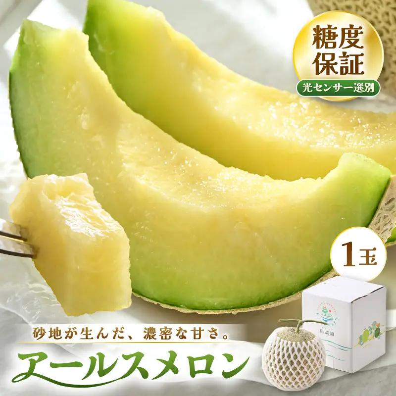 先行予約  アールスメロン (緑肉) 1玉 糖度15度以上 2026年9月上旬以降順次発送予定 [A-22104]