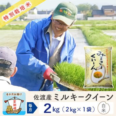 ふるさと納税 佐渡市 【毎月定期便】佐渡島産ミルキークイーン 白米2kg 特別栽培米全6回