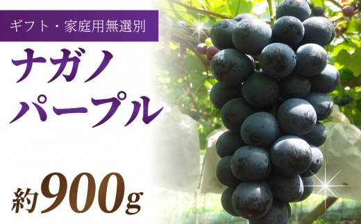
                  ナガノパープル 約900ｇ（ギフト・家庭用無選別）　※2026年8月中旬以降順次発送
                