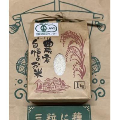 ふるさと納税 鹿沼市 【令和7年産】もち米(きぬはなもち)精米1kg　◆有機JAS認証