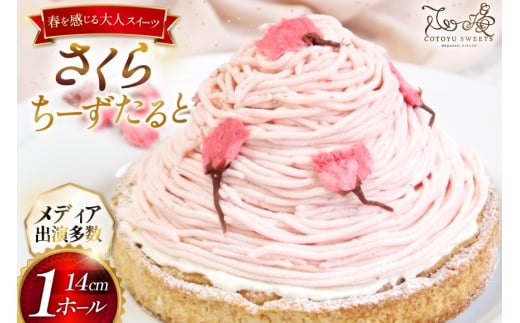 【期間限定】 スイーツ ケーキ さくら ちーずたると 1ホール 14cm [心優-Cotoyu Sweets- 長崎県 平戸市 hr42bjo490165] 桜 春 チーズ タルト チーズタルト かわいい 可愛い ピンク 花