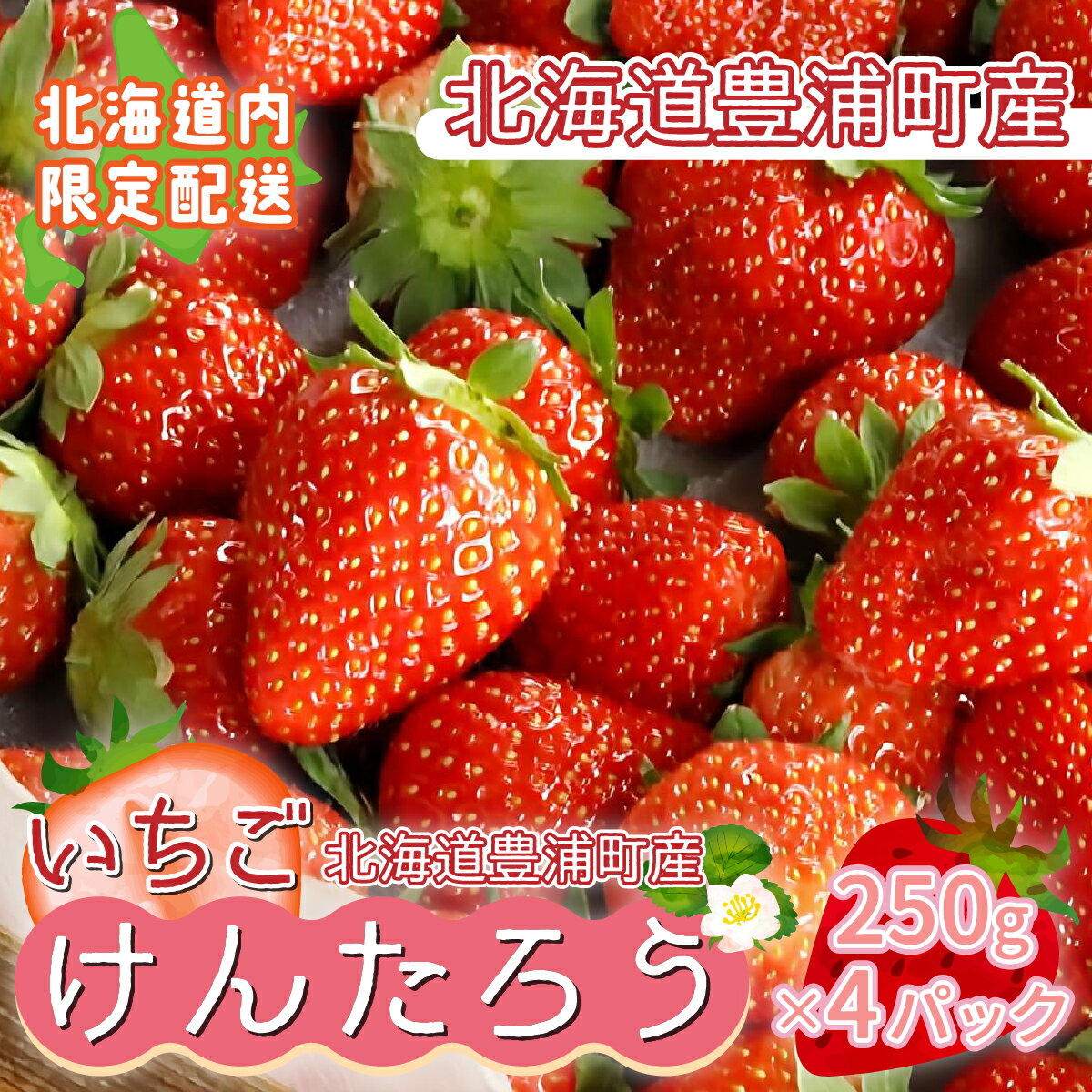 【ふるさと納税】 【2025.5月以降順次出荷】【北海道内限定配送】いちご「けんたろう」250g×4パック 【 ふるさと納税 人気 おすすめ ランキング 果物 いちごイチゴ 苺 国産いちご 国産苺 けんたろう セット おいしい 美味しい 甘い 北海道 豊浦町 送料無料 】 TYUT002