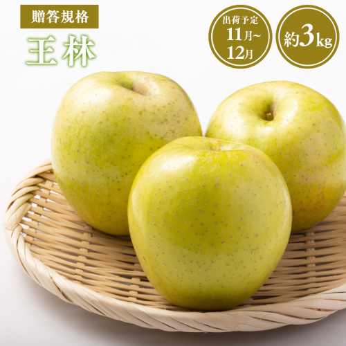 【令和8年産受付】贈答用王林約3kg【青森県平川市産・青森りんご】