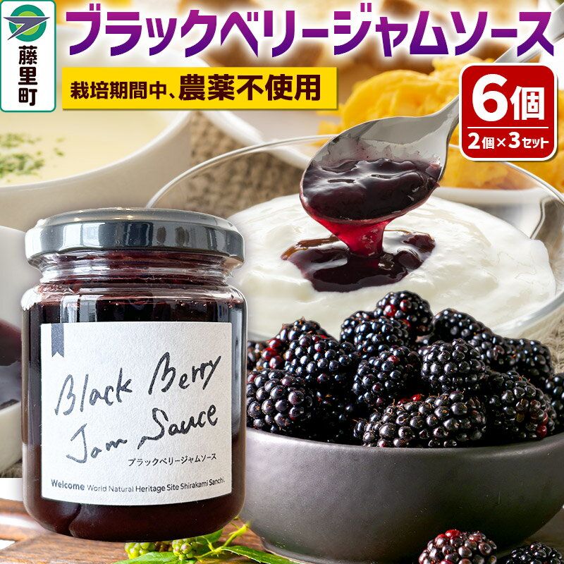 【ふるさと納税】ブラックベリージャムソース 合計6個 2個入×3セット