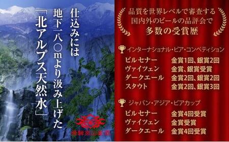 地ビール 飲み比べセット 500ml 6種12本 詰め合わせ ビール 地ビール クラフトビール  ドイツ産 贈り物  コロナ支援  ピルセナー ペールエール ヴァイツェン ダークエール スタウト カル