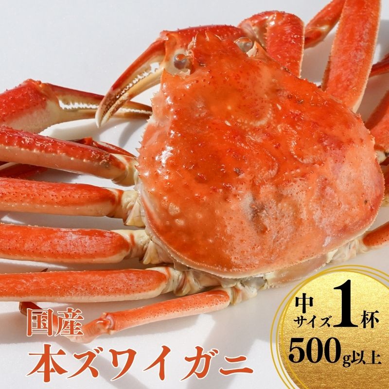 【ふるさと納税】〈期間限定〉本ズワイガニ 500g以上×1杯 姿 蒸し蟹 糸魚川産 鮮度が命！蒸したて直送 ずわいがに かに 蟹 ヒスイ水産 国産 日本海 新潟 新鮮 タグ付き 11月から漁開始 ギフトにも おススメ カニ ヒスイ蟹 カニ