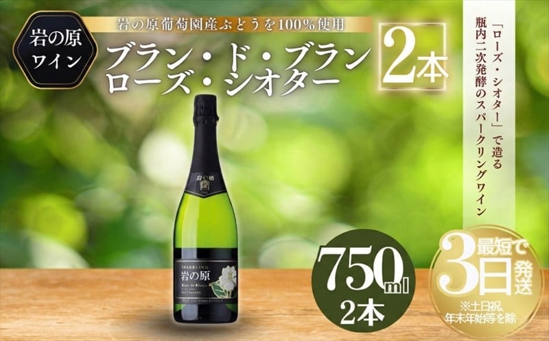 
            ワイン 岩の原スパークリングワイン 白 瓶内二次発酵 2本 （750ml） お酒 岩の原 酒 新潟 上越 最短3日で発送
          