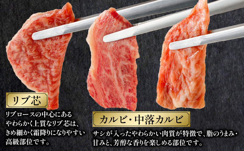 宮崎牛 焼肉食べ比べ6種盛 600g
