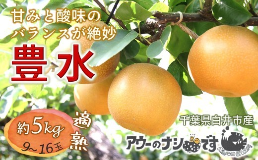 
                  【2026年秋収穫分】 梨 豊水 約5kg 9～16玉 農家直送 千葉県白井市 先行予約受付 アウーファーム
                