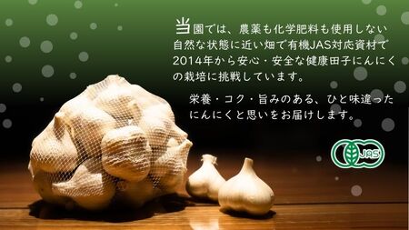 やまもと農産のオーガニックにんにく Lサイズ 1kg