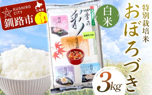 
            【選べる発送月】 【令和7年度産 】 【新米】 特別栽培米おぼろづき 3kg 白米 北海道産 米 コメ こめ お米 白米 玄米 F4F-9844var
          