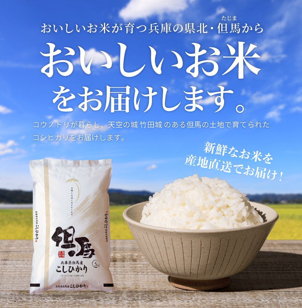 令和7年産 但馬産 コシヒカリ 特Aランク 10kg / 兵庫県産 こしひかり 産地直送 新鮮 お米 米 精米 白米 コメ こめ ご飯 ごはん ライス 送料無料 おにぎり お弁当 和食 洋食 コウノト