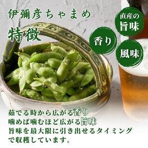 枝豆 茶豆 伊彌彦ちゃまめ 1.5kg | 枝豆 新潟県