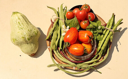 《先行予約》＜夏出荷＞こだわり有機農家の野菜セット 2.5kg(8～10種類)  F4D-0130