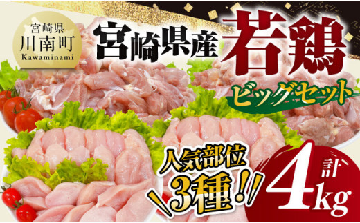 【 小分け 】 宮崎県産 若鶏 4kg ビッグ セット 【 もも むね ささみ セット 鶏肉 とり肉 ごはん 料理 大容量 】[D11613]