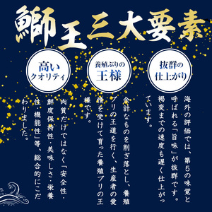 ＜数量限定＞【2025年12月22日発送】『旅サラダ』で紹介ぶりの王様「 鰤王 」 フィレ 半身 (約1.5kg・フィレ1枚) 産地直送 新鮮 旨味が抜群の 長島町 特産品 ブランド ぶり 鰤 ブリ 