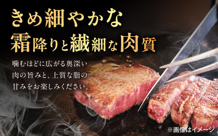【3回定期便】佐賀牛 サーロインステーキ 500g（250g×2枚） /MKミート武雄[UEM021]