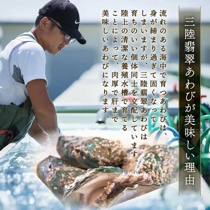 訳あり あわび4個 メキシカンチリスープ風