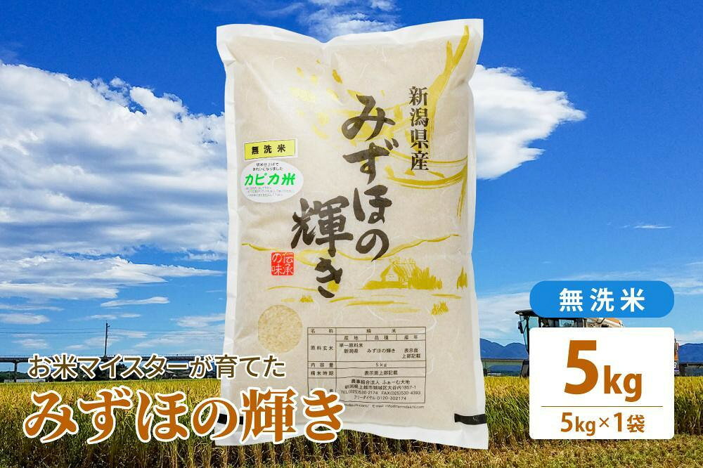 【ふるさと納税】令和7年産 お米マイスターが育てた上越産みずほの輝き 5kg(5kg×1)無洗米　お届け：ご入金確認後、2～3週間を目途に順次発送いたします。