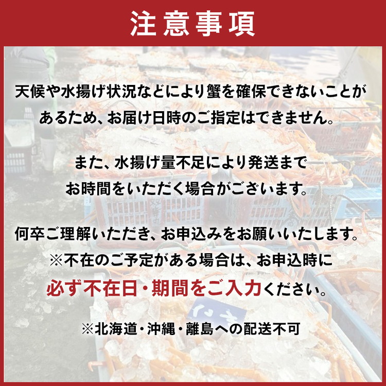 【特に訳あり】魚卸問屋のベニズワイガニ 約3kg｜ 魚介類 海の幸 海鮮 ボイル 国産 富山県産 魚津市産 ※2024年12月上旬～2025年5月下旬頃に順次発送予定 ※北海道・沖縄・離島への配送不可