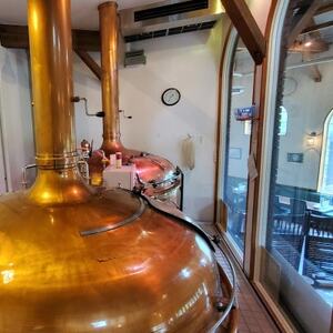 DENZOOLANDクラフトビール 330ml 8種詰め合わせセット【配送不可地域：離島】【1607745】