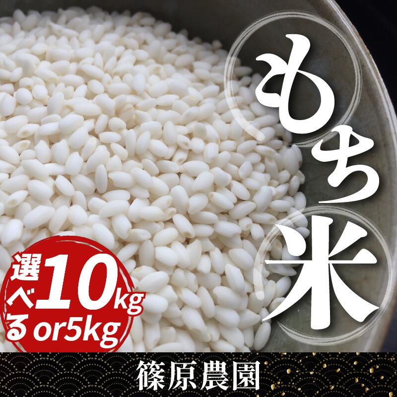 【ふるさと納税】 米 もち米 令和7年産 新米 5kg 10kg 送料無料 もちみのり 米 こめ お米 ご飯 ごはん もち 餅 もちごめ 白米 精米 ギフト 贈答 プレゼント グルメ 徳島県 三好市 みよし 篠原農園