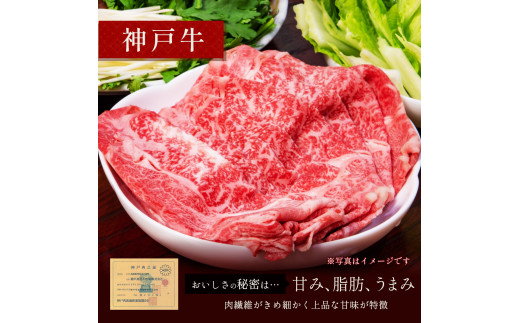 【和牛セレブ】神戸牛　すき焼き&しゃぶしゃぶセット【肩ロース】250g [987]