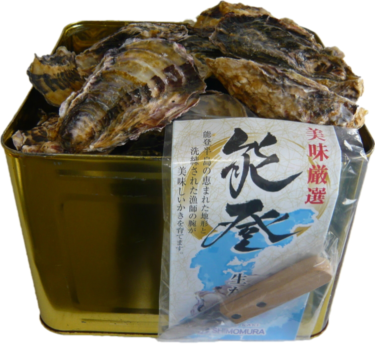 石川県七尾産 能登かき 殻付き 半缶（約40個） ※北海道・沖縄・離島への配送不可 ※2025年12月上旬～2026年5月下旬頃に順次発送予定