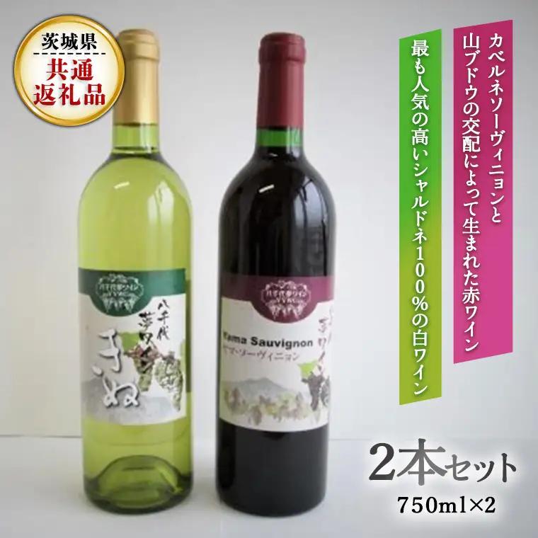 八千代夢ワインシリーズ　ヤマ・ソーヴィニョン(赤)・きぬ(白)２本セット (茨城県共通返礼品 八千代町）国産ワイン 赤ワイン 白ワイン[BW007sa]
