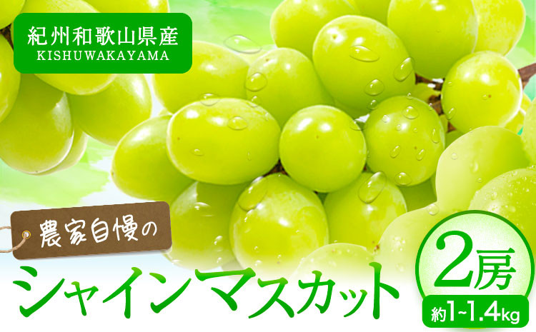 【先行予約】紀州和歌山産 シャインマスカット 2房 魚鶴商店《8月上旬-9月末出荷》マスカット 和歌山県 日高川町 贈り物 ギフト ぶどう シャインマスカット