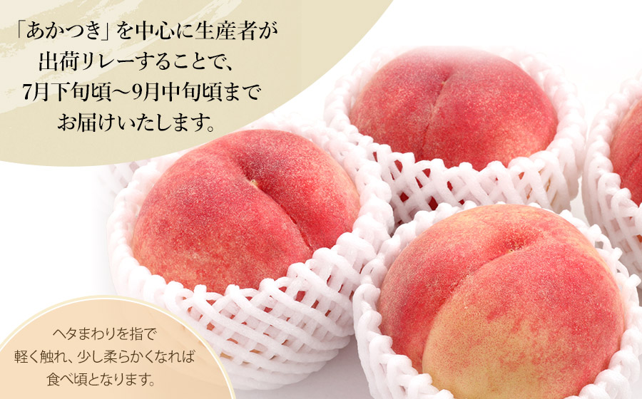 【令和8年産先行予約】JA庄内たがわの桃（品種おまかせ） 約2kg（5～9玉入） 鶴岡市羽黒地域産　K-830