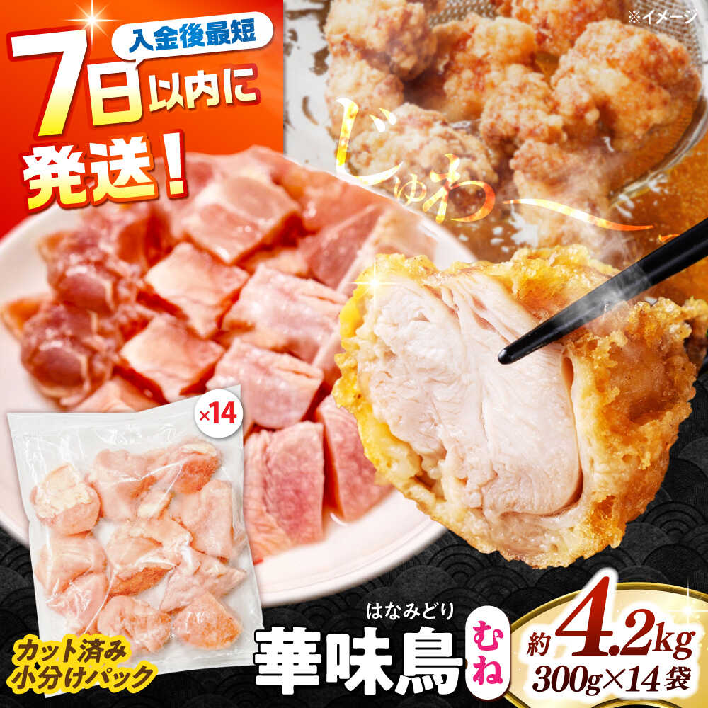 【ふるさと納税】＜7日以内に発送＞華味鳥 むね肉 4.2kg（300g×14袋）小分け カット済み 南島原産 /　鶏肉 肉 とり肉 ムネ肉 鶏むね肉 冷凍 大容量 / 南島原市 / 株式会社渡部ブロイラー[SFS008]