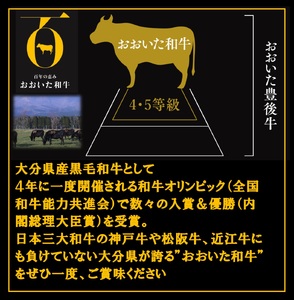 おおいた和牛三昧　サーロインステーキ＆ハンバーグ_B172-002