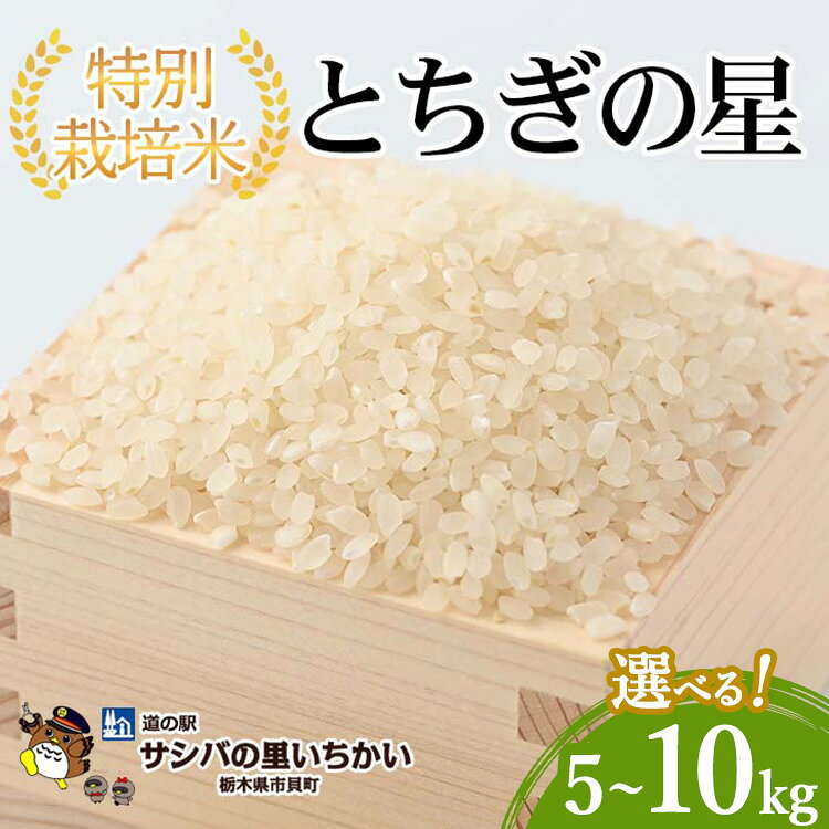 【ふるさと納税】＼選べる内容量／ 特別栽培米〈とちぎの星〉5kg・10kg | 国産 栃木県産 とちぎの星 米 お米 特別栽培米 精米 白米 栃木米 とちぎ米 米の食味ランキング特A評価 産地直送 送料無料 ※2026年9月～発送