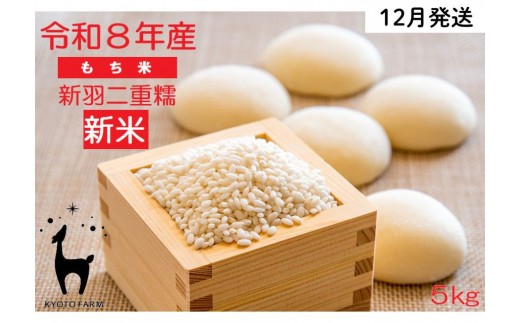 【新米先行受付】【京都ファーム】令和8年産 京都ファームのもち米 新羽二重糯5kg 12月発送 | 京北 人気 米 ［ 京都 京北産 もち米 人気 おすすめ 米 コメ おこめ お取り寄せ 通販 送料無料 ふるさと納税 ］