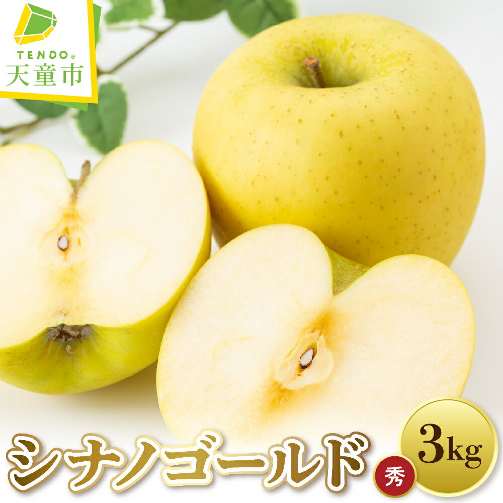 【ふるさと納税】 りんご シナノゴールド 3kg リンゴ 果物 フルーツ 秀 のし 贈答 ギフト プレゼント おすそ分け お取り寄せ 旬 秋 冬 期間限定 送料無料 先行予約 【 山形県 天童市 】