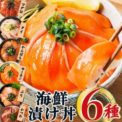 ふるさと納税 門川町 【お試しサイズ】海鮮 お魚漬け丼 食べ比べセット(6種)(門川町)