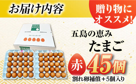 【箱入り】五島の恵みたまご M-Lサイズ 45個入 / 卵 赤玉子 五島市 / 五島列島大石養鶏場 [PFQ038]  玉子 タマゴ 鶏卵 希少 五島列島