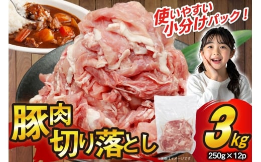 豚肉 切り落とし 250g 12p 計3kg [司フーズ・システム 兵庫県 三田市 3d28bdy500012] 豚 肉 豚切り落とし 切落し セット 小分け 真空パック 真空 冷凍 お弁当 おかず おすすめ