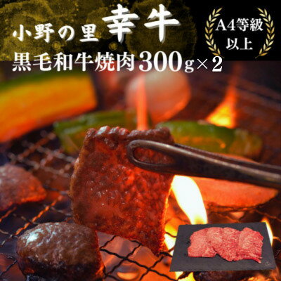 【ふるさと納税】【小町の里・幸牛】黒毛和牛焼肉　300g×2　計600g【配送不可地域：離島】【1762864】