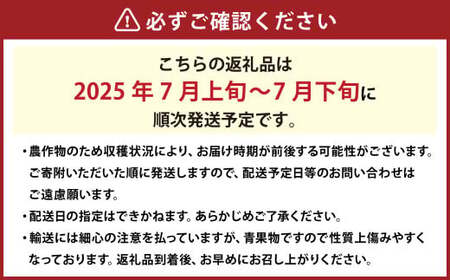 清水白桃 エース 3玉 約750g 【2025年7月上旬～7月下旬発送予定】 ／ 白桃 桃 もも モモ