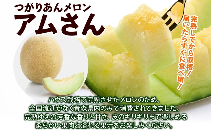 青森県産 つがりあんメロン 「アムさん」 2Lサイズ 2玉 完熟