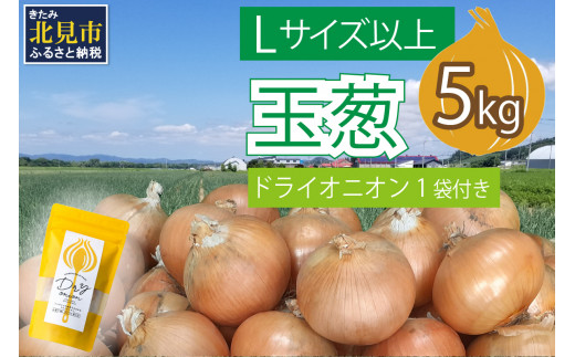 【2024年11月中お届け】玉葱 5kg Lサイズ以上 北見ドライオニオン1袋付き ( 玉ねぎ たまねぎ ドライオニオン セット ふるさと納税 北見市 )【148-0004-2024】