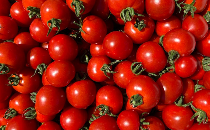 ミニトマト 約2kg 注文時の食べごろ品種詰め合わせ アイビーファーム 長野 信州 小諸 産地直送